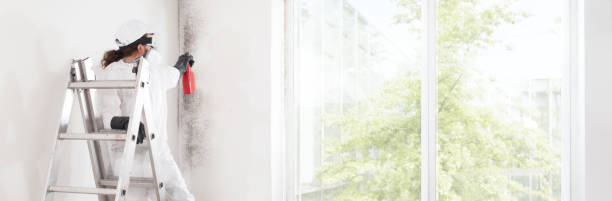 Best Mold Remediation for Healthcare Facilities  in Fultonde, AL