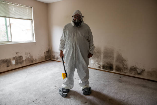 Mold Documentation for Insurance Claims in Fultondale, AL